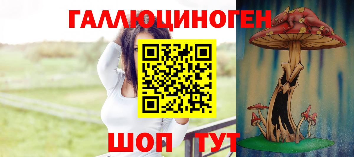 Псилоцибиновые грибы Psilocybe  Вход с VPN  как найти наркотики  Заводоуковск 
