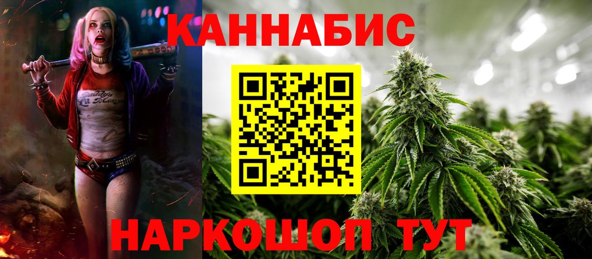 Бошки марихуана ГИДРОПОН  Каннабис тримм  Заводоуковск  Вход с VPN  Конопля гибрид 